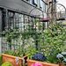 4 Pack Metal Garden Trellis 71" X 19.7" Rustproof Trellis For Climbing Plants Outdoor Flower Support_maomaolike.com