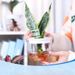 Garden Supplies Pack New G214 Fully Transparent Hydroponic Flower Pot Flower Arrangement Water Bottle_maomaolike.com