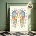 Reflexology Foot Chart Painting Poster, Colorful Detailed Anatomical Poster, Clearly Shows Foot-to-body Reflex Zones, Ideal For Massage Studios_maomaolike.com