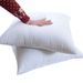 standard White Bounce Back Pillow Cushion Core Sofa Car Seat Home Interior Decor Pillows30x30/40x40/45x45/60x80cm_maomaolike.com