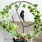 Corn Holders_maomaolike