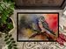 Northern Hawk Owl Doormat Front Door Mat Indoor Outdoor Rugs For Entryway, Non Slip Washable Low Pile, 24H X 36W_maomaolike.com