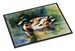 Mallard Doormat Front Door Mat Indoor Outdoor Rugs For Entryway, Non Slip Washable Low Pile, 24H X 36W_maomaolike.com