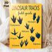Dinosaur Tracks Painting Poster, Warm Yellow-toned Informative Dinosaur Footprint Field Guide Poster, Educational Design Suitable For Home Study_maomaolike.com
