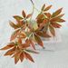 Cross-border Popular Artificial Fortune Leaves For Home Decor, Green Plant Arrangements, Wealth-attracting Displays,_maomaolike.com