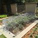 Insect-proof Net Freezing Protection Cover Support Frame Nursery Bed Support Frame Vegetable Greenhouse Support Stand Arched Curved Pipe_maomaolike.com