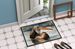 Pelican Doormat Front Door Mat Indoor Outdoor Rugs For Entryway, Non Slip Washable Low Pile, 24H X 36W_maomaolike.com