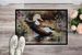 Common Eider Duck Doormat Front Door Mat Indoor Outdoor Rugs For Entryway, Non Slip Washable Low Pile, 24H X 36W_maomaolike.com