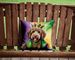 Labradoodle King Of Mardi Gras Throw Pillow Machine Washable, Indoor Outdoor Decorative Pillow For Couch, Bed Or Patio, 14Hx14W_maomaolike.com