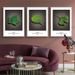 A Triptych Of Decorative Prints Blending Modern Minimalism With Nature, Warm Healing Green Tones, And The Crisp Simplicity Of Scandinavian Design._maomaolike.com