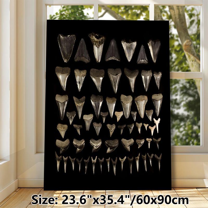 Shark Tooth Collection Painting Poster, Vintage Monochrome Arranged Shark Teeth Display Poster, Unique Natural-themed Decor Ideal For Home Study_maomaolike.com