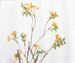 American Country Style Berry Holly Fortune Fruit Artificial Flowers Home Decor Vase Arrangement Flower Accessories_maomaolike.com
