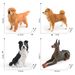 Cross-border Simulated Pet Dog Model, Extra-large Solid Shiba Inu, Golden Retriever, Doberman Home Desktop Decoration_maomaolike.com