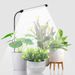 LED Ground Plug In Plant Light Full Spectrum Fill Light Succulent Ground Plug In Light Aquarium Plant Growth Light Factory_maomaolike.com