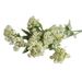 Artificial Foam 2-Head Fennel, Lace, Greenery, Gypsophila For Nordic Home Decor, Model Room, And Wedding Design_maomaolike.com