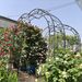Metal Garden Arch Garden Arbor Trellis Climbing Plants Support Rose Arch Black_maomaolike.com