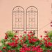 2 Pack Metal Garden Trellis 86.7" X 19.7" Rustproof Trellis For Climbing Plants Outdoor Flower Support Black_maomaolike.com