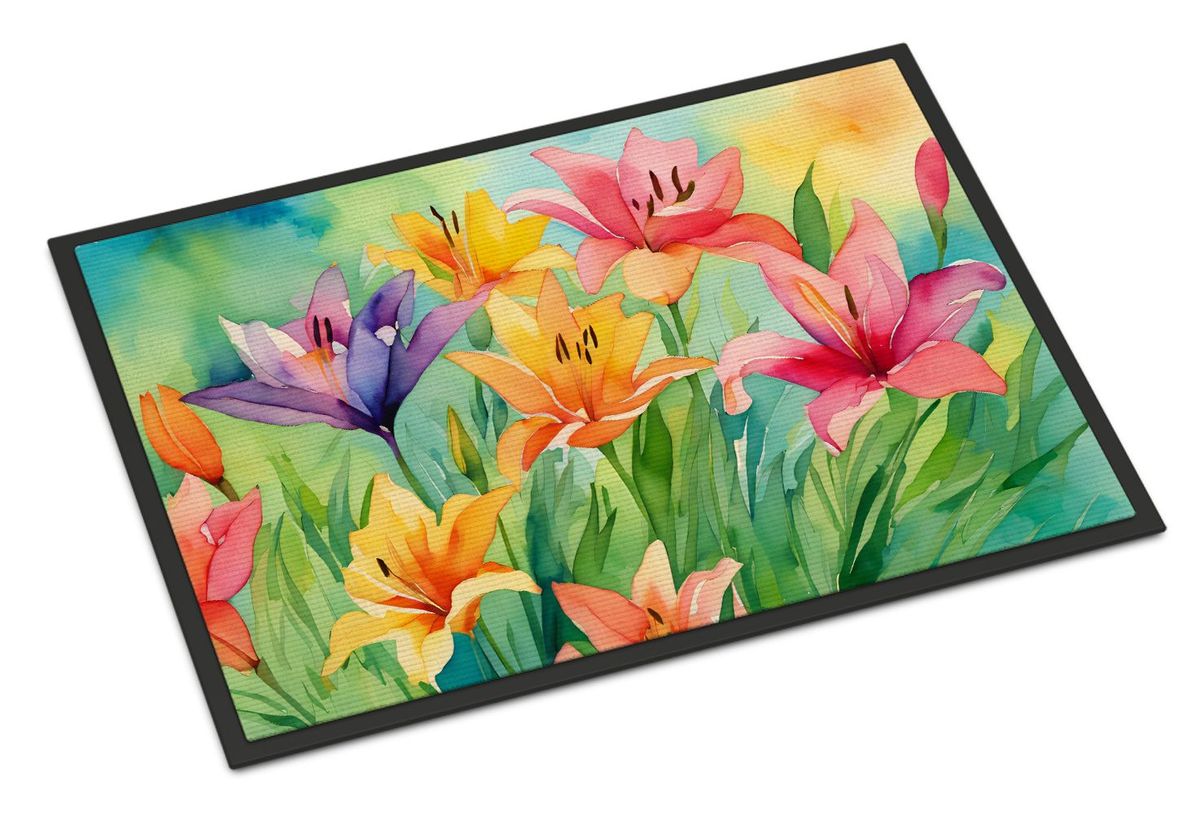 Lilies In Watercolor Doormat Front Door Mat Indoor Outdoor Rugs For Entryway, Non Slip Washable Low Pile, 24H X 36W_maomaolike.com
