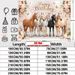 Horse Themed Birthday Party Banner - 2D Flat Polyester Backdrop, Wall Hanging Photo Props, Party Decor_maomaolike.com