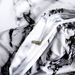 Home Textile Bedding Three Piece Set Brushed Printed Quilt Set_maomaolike.com