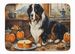 Bernese Mountain Dog Fall Kitchen Pumpkins Memory Foam Kitchen Mat Machine Washable Anti-Fatigue Mat Cushion Comfort Bath Mat Or Kitchen Rug_maomaolike.com