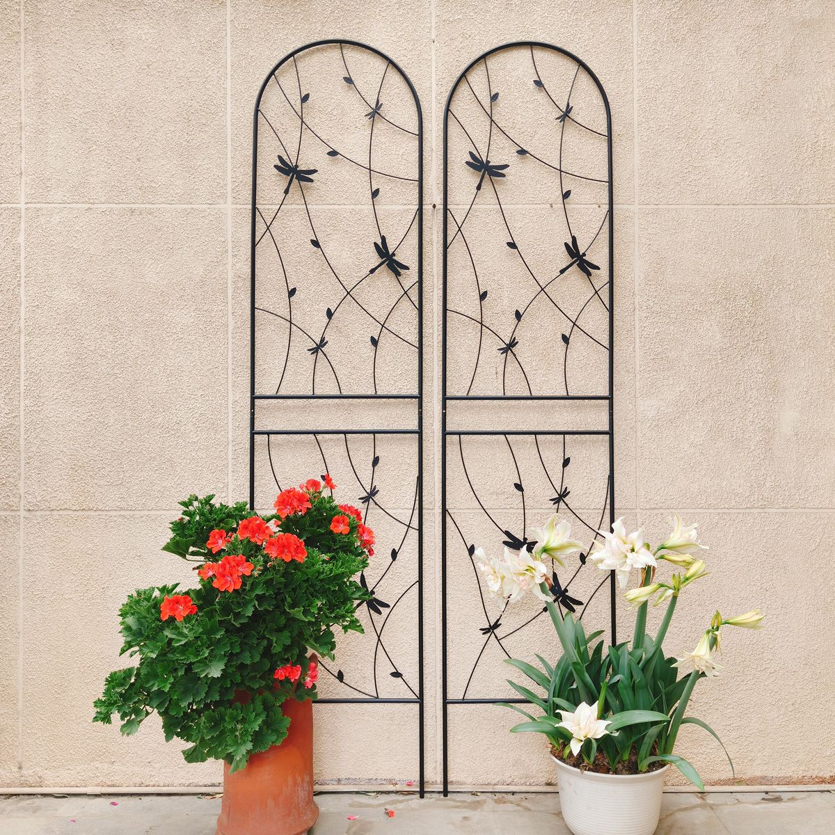 2 Pack Metal Garden Trellis 86.7" X 19.7" Rustproof Trellis For Climbing Plants Outdoor Flower Support Dragonfly Deco Black_maomaolike.com