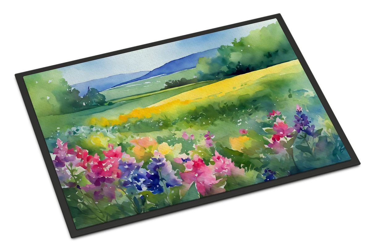 Massachusetts Mayflowers In Watercolor Doormat Front Door Mat Indoor Outdoor Rugs For Entryway, Non Slip Washable Low Pile, 24H X 36W_maomaolike.com
