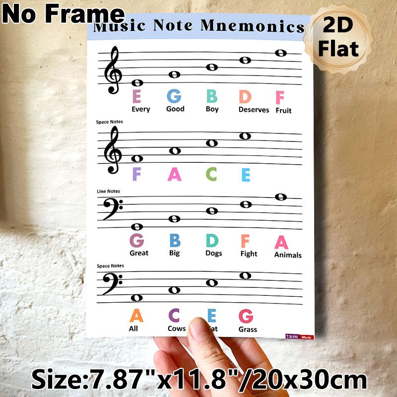 Music Note Mnemonics Painting Poster, Clear Colorful Music Note Memorization Guide Poster, Practical Educational Design To Learn Music Notes Ideal For_maomaolike.com