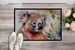 Koala Doormat Front Door Mat Indoor Outdoor Rugs For Entryway, Non Slip Washable Low Pile, 24H X 36W_maomaolike.com