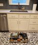 English Bulldog Fall Kitchen Pumpkins Memory Foam Kitchen Mat Machine Washable Anti-Fatigue Mat Cushion Comfort Bath Mat Or Kitchen Rug_maomaolike.com