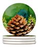 Maine White Pine Cone And Tassels In Watercolor Large Sandstone Coasters Pack Of 4 Absorbent Round Coasters Decor Gifts For Men Or Women, 4 In, Multicolor_maomaolike.com
