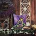 Pug King Of Mardi Gras Throw Pillow Machine Washable, Indoor Outdoor Decorative Pillow For Couch, Bed Or Patio, 14Hx14W_maomaolike.com