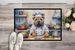 Shar Pei The Chef Doormat Front Door Mat Indoor Outdoor Rugs For Entryway, Non Slip Washable Low Pile, 24H X 36W_maomaolike.com
