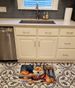 Shiba Inu Fall Kitchen Pumpkins Memory Foam Kitchen Mat Machine Washable Anti-Fatigue Mat Cushion Comfort Bath Mat Or Kitchen Rug_maomaolike.com