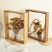 Dried Photo Double-Sided Transparent Hollow Display Creative Handmade DIY 3D Rose Eternal Flower Empty Frame_maomaolike.com