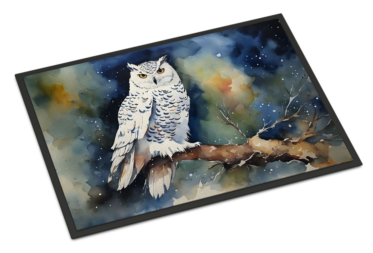 Snowy Owl Doormat Front Door Mat Indoor Outdoor Rugs For Entryway, Non Slip Washable Low Pile, 24H X 36W_maomaolike.com