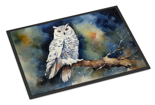 Snowy Owl Doormat Front Door Mat Indoor Outdoor Rugs For Entryway, Non Slip Washable Low Pile, 24H X 36W_maomaolike.com