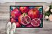 Colorful Pomegranates Doormat Front Door Mat Indoor Outdoor Rugs For Entryway, Non Slip Washable Low Pile, 24H X 36W_maomaolike.com