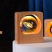 Beech Crystal Ball Night Light 3D Laser Engraving Elk Jellyfish LED Nightlights USB Dimmable Lamp For Bedroom Decoration_maomaolike.com