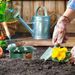 Snail Cage Eco-friendly Slug Reject Gintrap Trap Catcher Reusable Pest Bait Station Tool Garden Farm Protector_maomaolike.com
