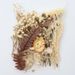 Preserved Dried DIY Material Kit Real Natural Air-Dried Candle Fan Frame Greeting Card Decoration Handmade Flower_maomaolike.com