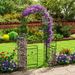 87 Inch Tall Garden Arch With Gate Planter Shelves Climbing Trellises With 2 Side Shelves For Wedding Arch, Yard Entrance, Garden Climbing Pergola, Etc_maomaolike.com