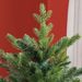 6ft Artificial Christmas Tree With 1821 Tips, Foldable Metal Stand, Easy Assembly, Hinged Xmas Tree For Home, Office, Holiday, Green_maomaolike.com