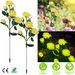 2Pcs Solar Powered Lights Outdoor Rose Flower LED Decorative Lamp Water Resistant Pathway Stake Lights For Garden Patio Yard Walkway_maomaolike.com