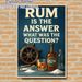 Rum Themed Painting Poster, Vintage Nautical Style Retro Rum Bottle & Humorous Quote Poster, Witty Decorative Accent For Home Bar, Dining Space_maomaolike.com