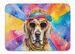 Weimaraner Hippie Dawg Memory Foam Kitchen Mat Machine Washable Anti-Fatigue Mat Cushion Comfort Bath Mat Or Kitchen Rug_maomaolike.com