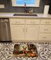 Chihuahua Fall Kitchen Pumpkins Memory Foam Kitchen Mat Machine Washable Anti-Fatigue Mat Cushion Comfort Bath Mat Or Kitchen Rug_maomaolike.com