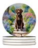 Chesapeake Bay Retriever Spring Path Large Sandstone Coasters Pack Of 4 Absorbent Round Coasters Decor Gifts For Men Or Women, 4 In, Multicolor_maomaolike.com