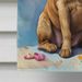 Chesapeake Bay Retriever Happy Birthday House Flag Large Porch Sleeve Pole Decorative Outside Yard Banner Artwork Wall Hanging, Polyester, House Size, Multicolor_maomaolike.com