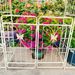 Metal Garden Arch With Gate 79.5'' Wide X 86.6'' High Climbing Plants Support Rose Arch Outdoor Cream White_maomaolike.com